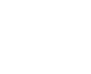 Logo Meersinn White Big